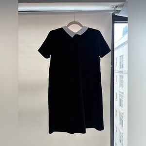 Zara Black Mini Dress with White Collar